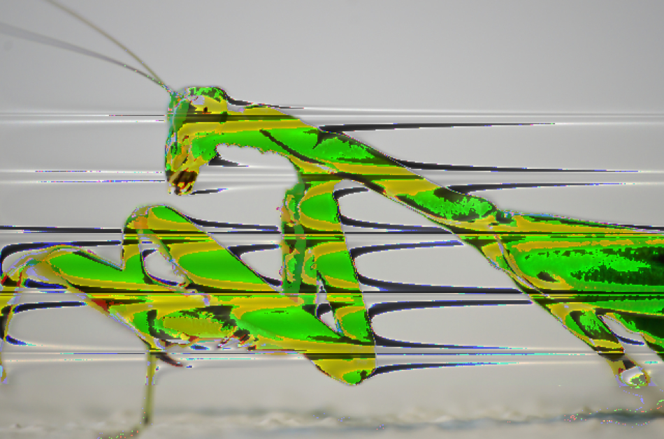 Mantis-phaser-1